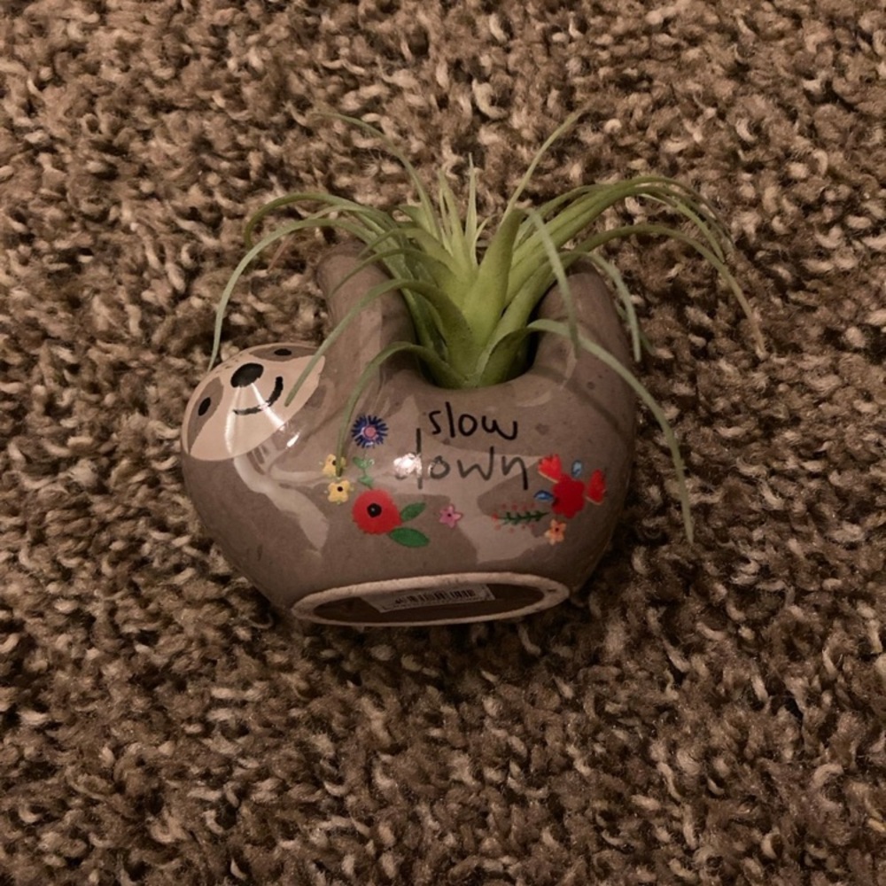 Slow Down Ceramic Sloth Faux Air Plant